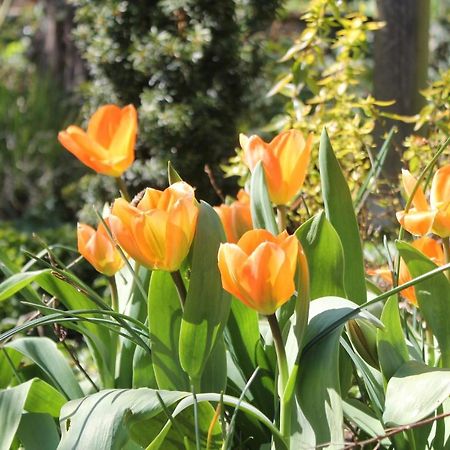 Maison Mille Fleurs Sankt Julian Экстерьер фото