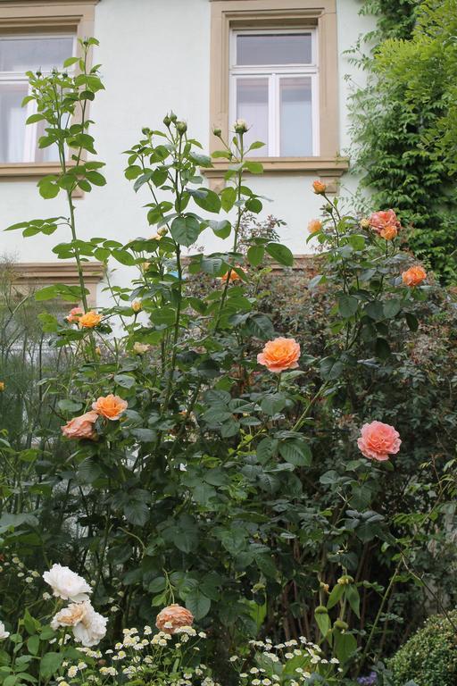 Maison Mille Fleurs Sankt Julian Экстерьер фото